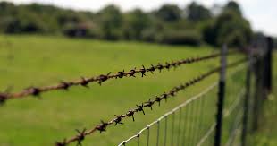 Barbed Wire Fencing