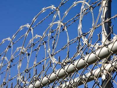 Barbed Wire Fencing
