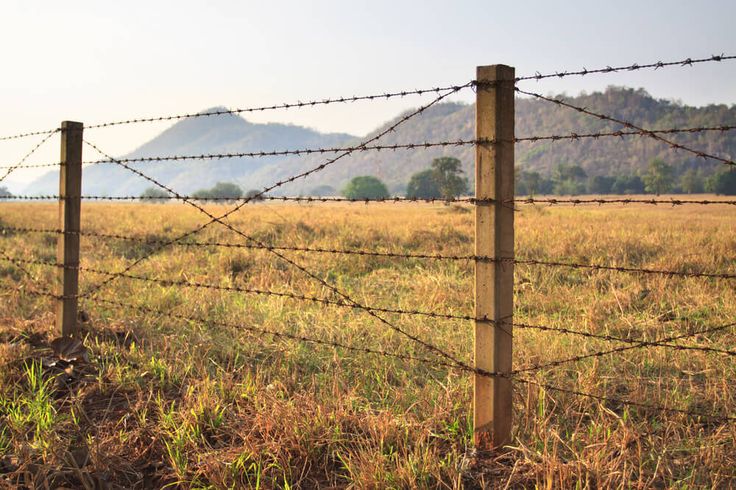 Barbed Wire Fencing