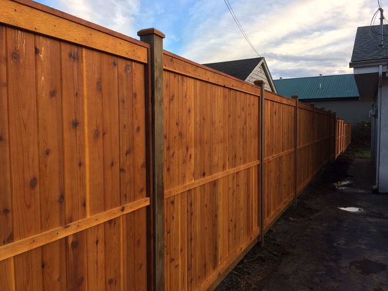 Cedar Fencing