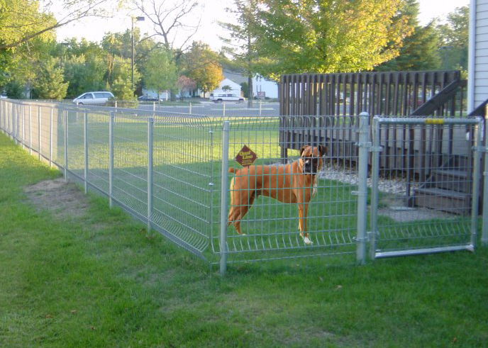 Dog Fencing