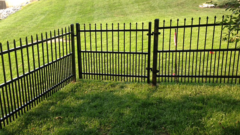 dog fencing
