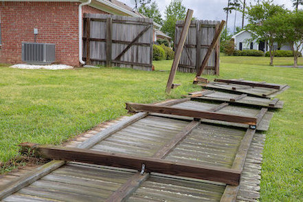 Fence Removal